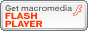 �g�������ԋ��Ƃ̃z�[���y�[�W�𐳂������������ɂ�FLASH�v���[���[���K�v�ł�